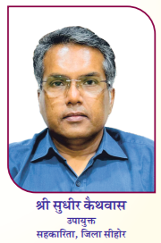 Deputy Commissioner